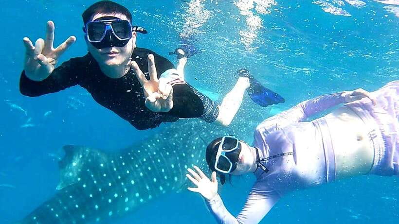 Cebu: Whale Shark, Tumalog Waterfall, and Moalboal Tour - The early hours: breakfast and break time at Oslob