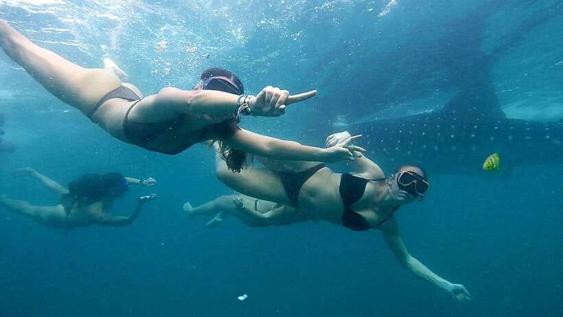 Cebu: Whale Sharks, Ka-Treasure Water Terraces & Simala Tour - Key things to know before you go