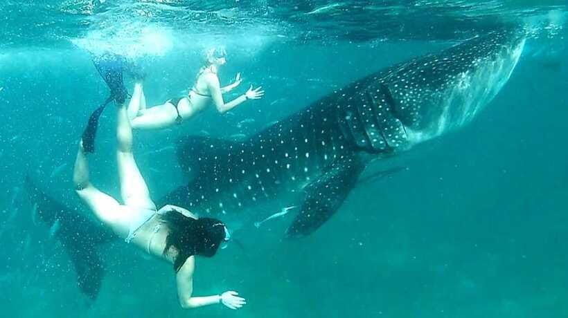 Cebu: Whale Sharks, Ka-Treasure Water Terraces & Simala Tour - Simala Church: castle-like beauty with a serious dress code