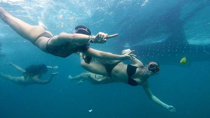 Cebu: Whale Sharks, Ka-Treasure Water Terraces & Simala Tour - Should you book this Cebu day tour?