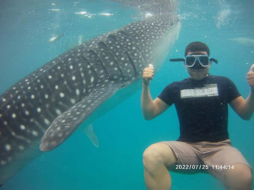 Cebu: Whale Sharks, Kawasan Falls, & Sardines Run Snorkeling - Kawasan Falls trek and turquoise swim: the reset you’ll want
