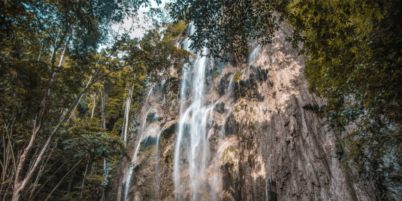 Cebu: Whale Sharks, Tumalog Falls, and Monkey Sanctuary Tour - Should You Book This Oslob Whale Shark, Falls, and Monkey Tour?