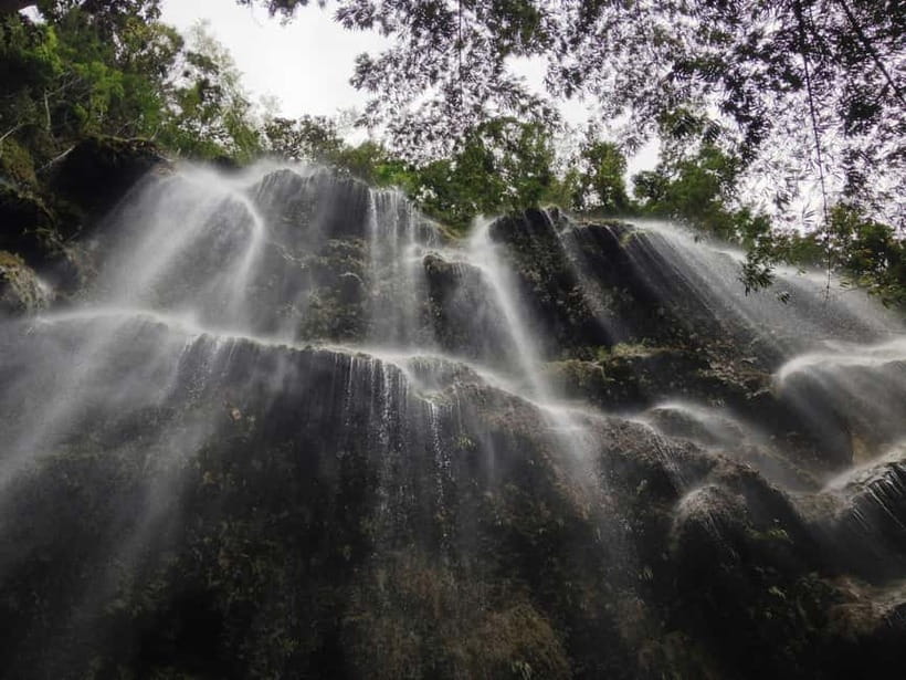 Cebu: Whaleshark Encounter, Sumilon Sandbar & Tumalog Falls - Who should book this tour (and who should skip)