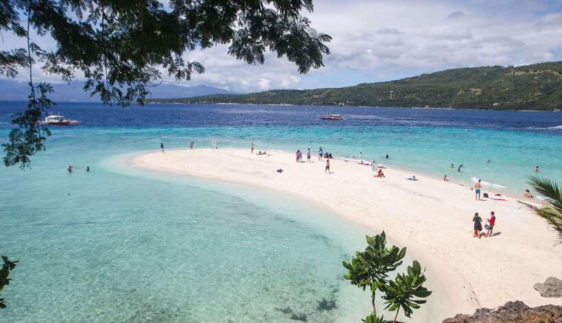 Cebu: Whaleshark Encounter, Tumalog Falls & Sumilon Sandbar - Sumilon Island: Clear Water, White Sand, and the Sandbar Photo Moment