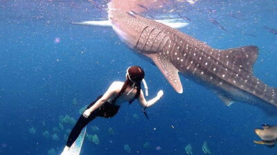 Cebu: Whaleshark Swimming & Kawasan falls Canyoneering Tour - Getting from Cebu to Oslob: early pickup and long road time