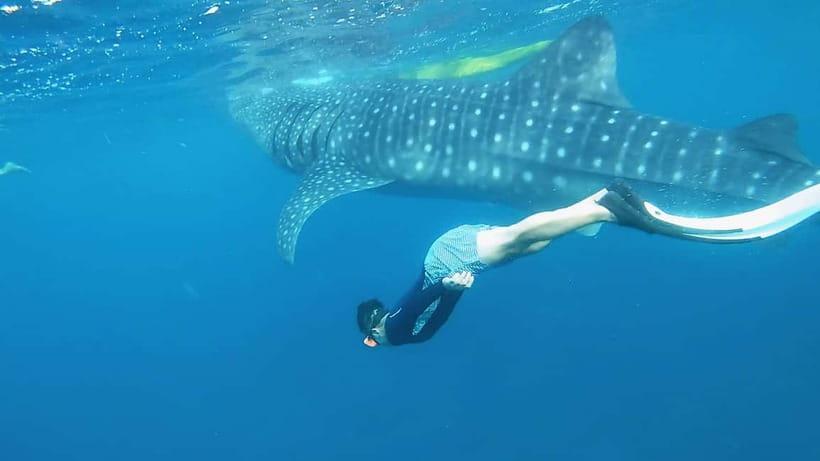 Cebu: Whaleshark Swimming & Kawasan falls Canyoneering Tour - The drive to Badian: the calm before the canyon chaos