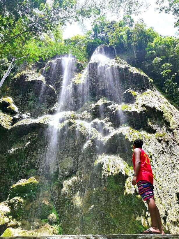Cebu: WhaleShark , Tumalog Falls, & Sardine Run Snorkeling - Moalboal Sardine Run snorkeling: the moving school effect
