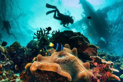 Discover Scuba Diving - Breathing Underwater Starts With Smart Intro Steps in Mactan