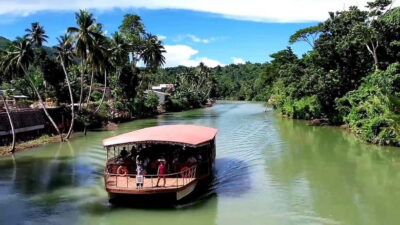 From Cebu: Bohol Countryside & Buffet Lunch Exclusive Tour - Tarsier Conservation Area: Small Primates, Big Focus, Quiet Time