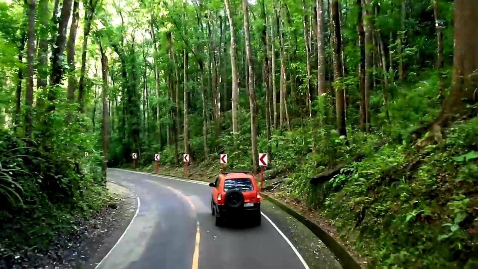From Cebu: Bohol Countryside & Buffet Lunch Exclusive Tour - Loboc River Floating Buffet: Food, Views, and Tinikling in the Same Hour