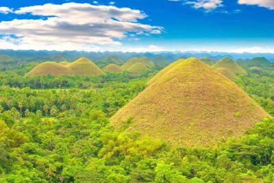 From Cebu: Bohol Countryside Private Tour & Loboc River Cruise - Cebu to Bohol by fast ferry: faster than you’d think