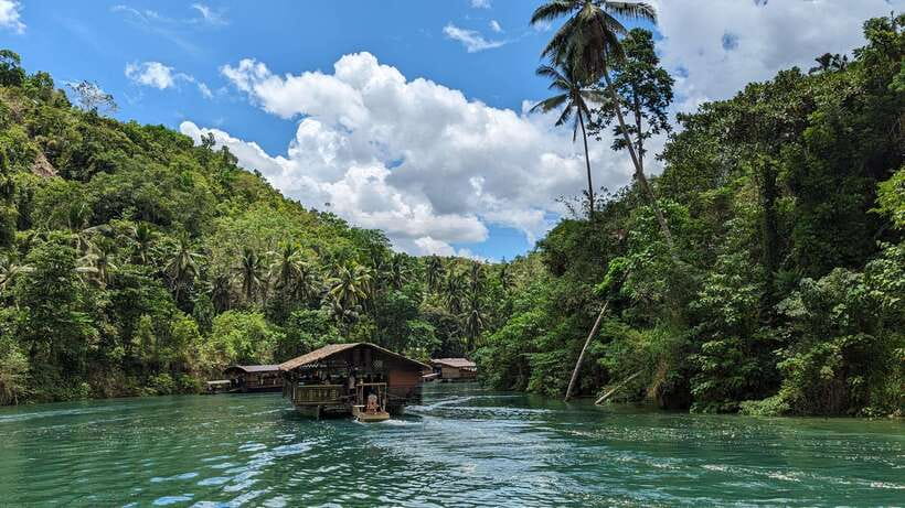 From Cebu City: Bohol Island Highlights in One Day - Who this Bohol day tour suits best (and who should skip it)