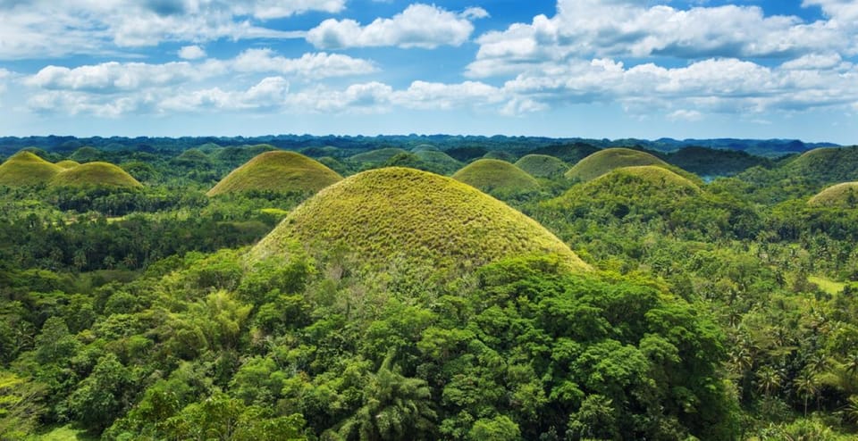 From Cebu City: Bohol Island Highlights in One Day - Loboc River cruise: lunch, live band, and traditional dance