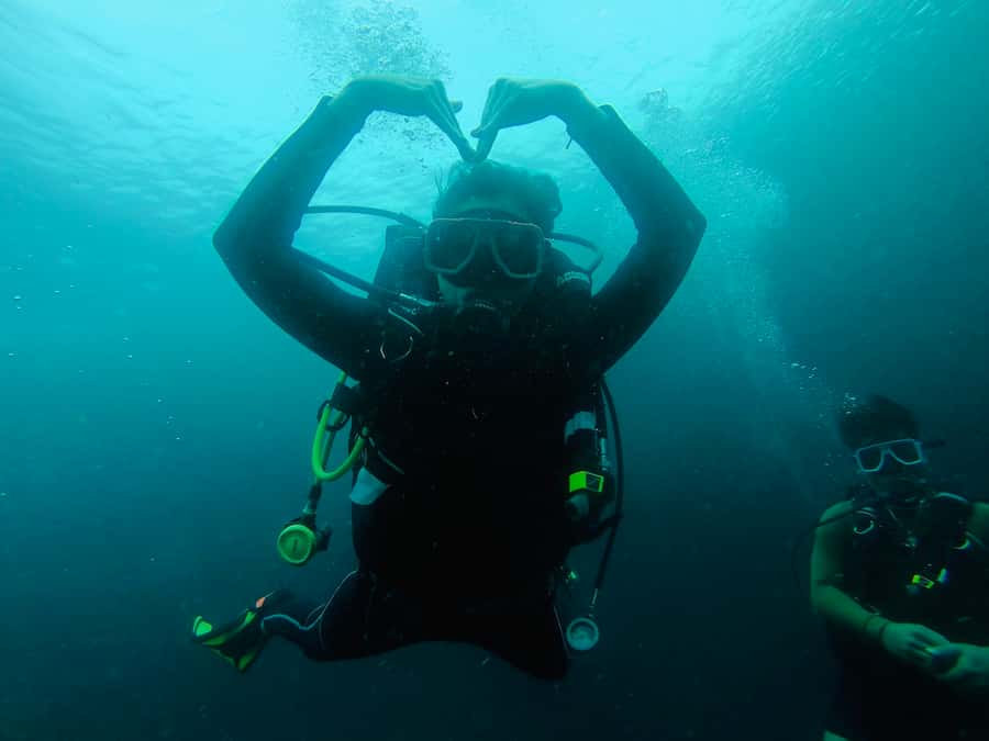 From Cebu City: Scuba Diving with Whale Sharks Trip in Oslob - Key Points You’ll Care About