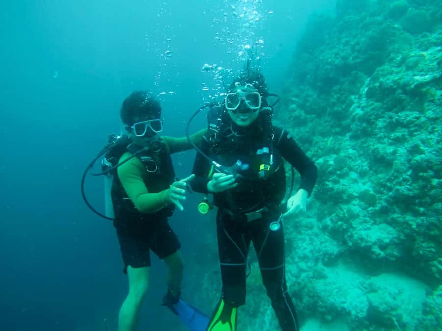 From Cebu City: Scuba Diving with Whale Sharks Trip in Oslob - Packing Tips That Actually Matter: Towels, Change of Clothes, and Comfort