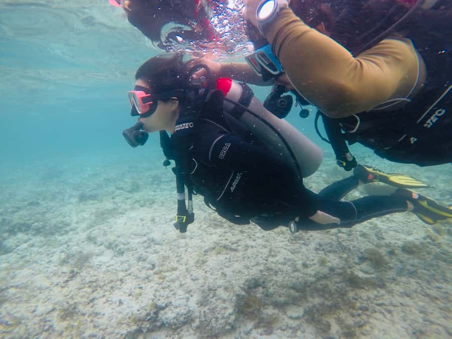 From Cebu City: Scuba Diving with Whale Sharks Trip in Oslob - Whale Shark Encounter in Oslob: What to Expect Underwater
