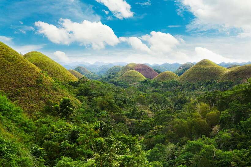 From Cebu: Day Trip to Bohol Highlights - Why This Cebu–Bohol Day Trip Works