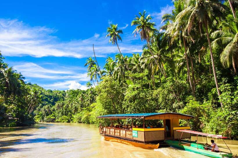 From Cebu: Day Trip to Bohol Highlights - Tarsiers and Chocolate Hills: The Photo Twins