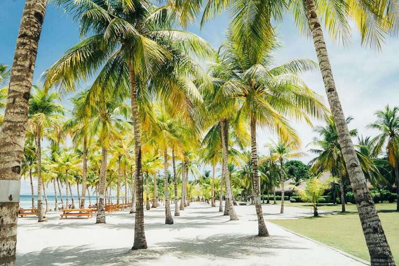 From Cebu: Day Trip to Bohol Highlights - The 8-Hour Rhythm: Timing Without the Fantasy