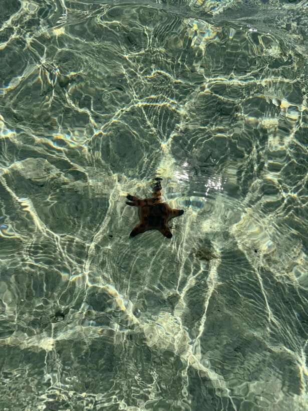 Mactan Island Hopping Gilutungan, Caohagan, Nalusuan + Lunch - What to Bring (So the Day Feels Easy)