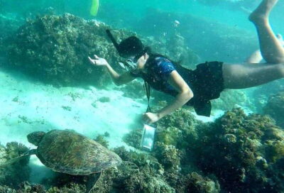 Moalboal: Pescador Island Hopping Adventure and Sardine Run - How the Day Flows: Pickup, Boat Time, and a Clear Snorkel Brief