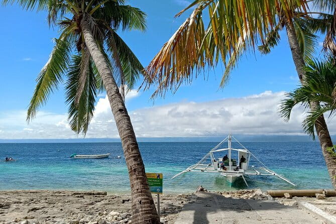 Moalboal Sardine Run, Sea Turtle and Mantayupan Falls - Price and value: why $99 can work for the day you’re getting