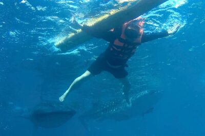 Oslob Whale Shark Snorkeling & Kawasan Canyoning Tour - Timing your snorkel moment: registration, waiting, and getting your head in the right place