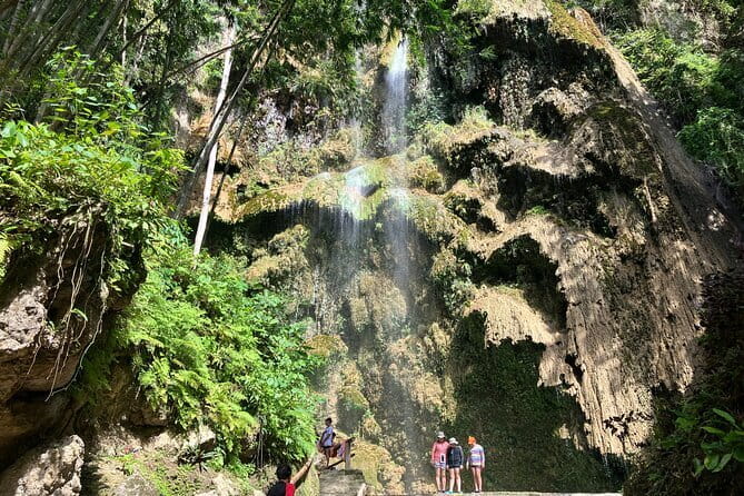 Oslob Whale Shark & Tumalog Waterfalls & Sumilon Sandbar - Oslob whale shark snorkeling at BCD’s Place: the main event