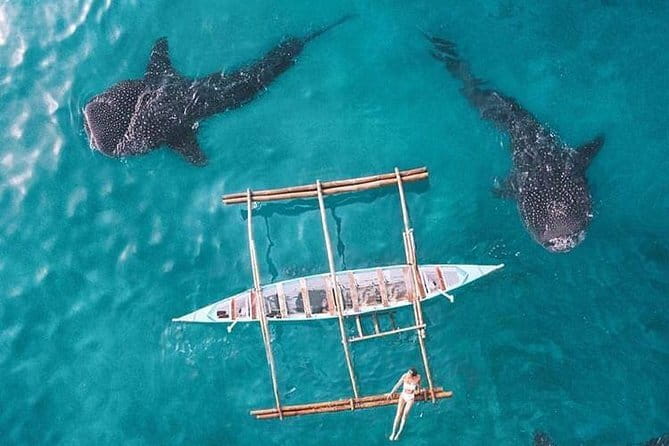 Oslob Whale Shark & Tumalog Waterfalls & Sumilon Sandbar - Sumilon Sandbar and Sumilon Island: clear water, white sand, and downtime