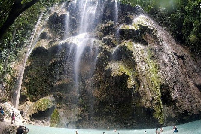 Oslob Whale Shark watching + Canyoneering Adventure Tour - Oslob whale shark snorkeling: the main attraction, handled with a plan
