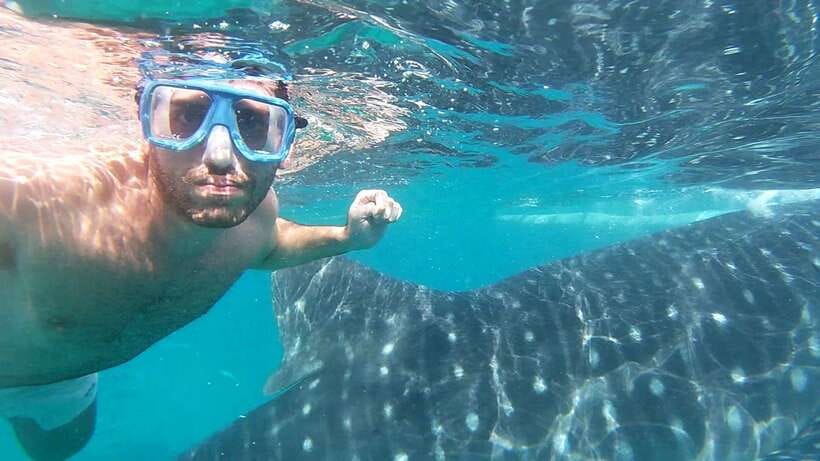 Oslob: Whale Sharks, Inambakan Falls & Moalboal Sardines - A 3-stop Cebu water day: Oslob, Inambakan Falls, Moalboal sardines