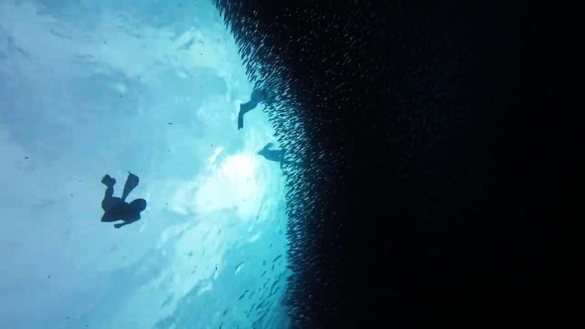 Oslob: Whale Sharks, Inambakan Falls & Moalboal Sardines - Snorkel and waterfall prep: what to pack so you don’t suffer