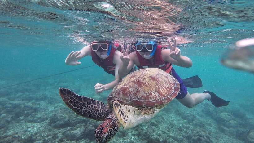 Oslob: Whale Sharks, Inambakan Falls & Moalboal Sardines - Who this Cebu day tour is best for (and who should skip)