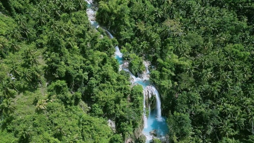 Oslob: Whale Sharks, Inambakan Falls & Moalboal Sardines - The super-early start from Cebu City or Mactan