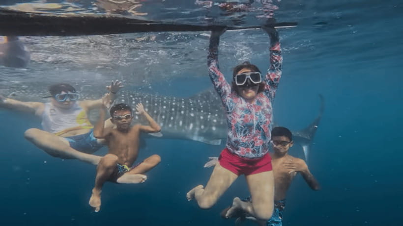 Oslob: Whale Sharks, Tumalog Falls & Sumilon Trio Adventure - Key Things That Make This Oslob + Sumilon Day Work