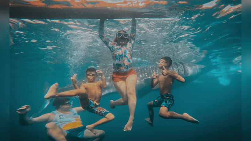 Oslob: Whale Sharks, Tumalog Falls & Sumilon Trio Adventure - Whale Shark Watching in Oslob: The Part You’ll Remember