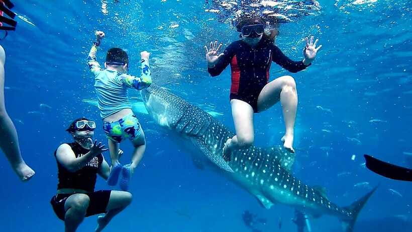Oslob: Whaleshark Swimming, Inambakan Falls & Moalboal Tour - Practical tips to make the day smoother