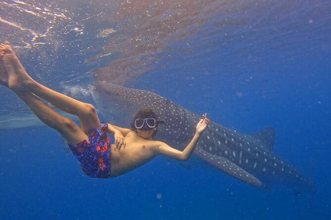 Small Group Moalboal and Badian’s Ultimate Adventure Tour - Price and Value: Is $100 for Moalboal and Badian Fair?
