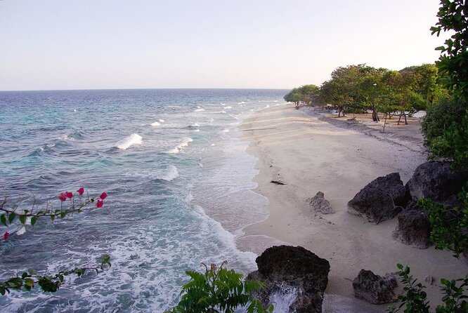 Whale Shark Encounter and Sumilon Sandbar with Kawasan Falls - Key Things I’d Plan For