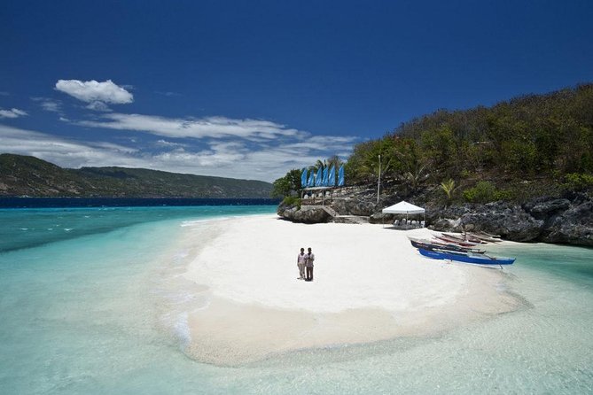 Whale Shark Encounter and Sumilon Sandbar with Kawasan Falls - Why This Cebu Circuit Feels Efficient