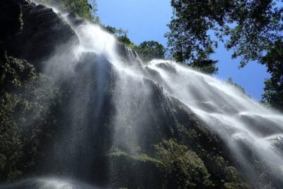 Whale Shark Encounter and Sumilon Sandbar with Kawasan Falls - Tumalog Falls: A Quick Reset With Nibbling Fish Energy